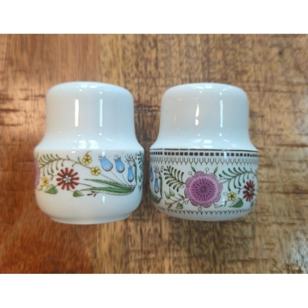 Vintage Schonwald Germany Porcelain Salt & Pepper Shakers-Wildflower Pattern